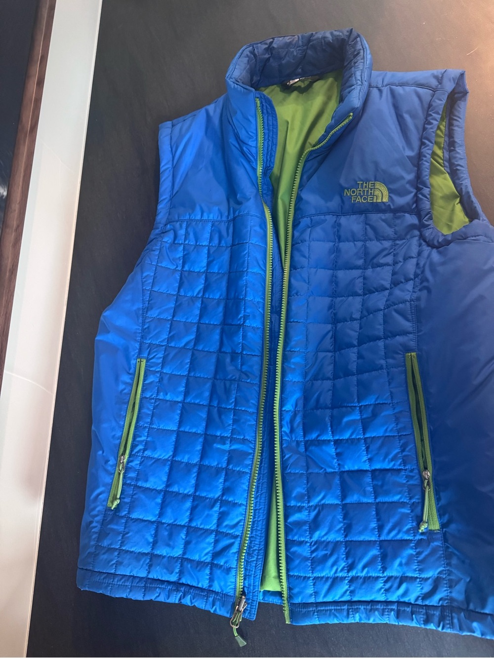 The North Face Men’s Blue Quilted Vest with Green Lining